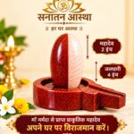 ArdhNareshwar Mahadev