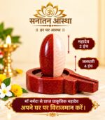 ArdhNareshwar Mahadev
