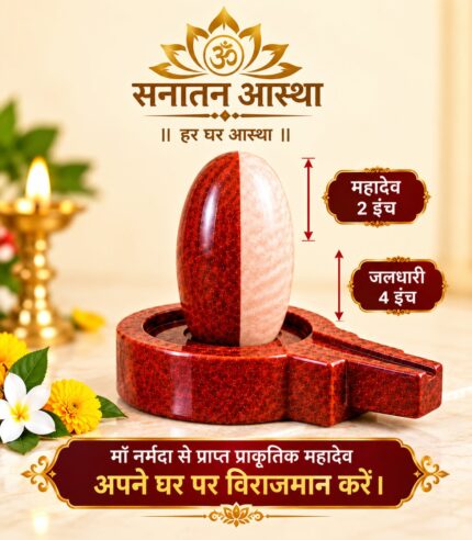 ArdhNareshwar Mahadev